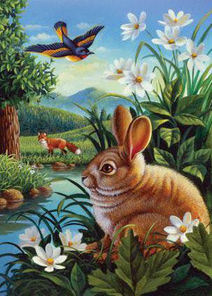 спрятался - животные - оригинал