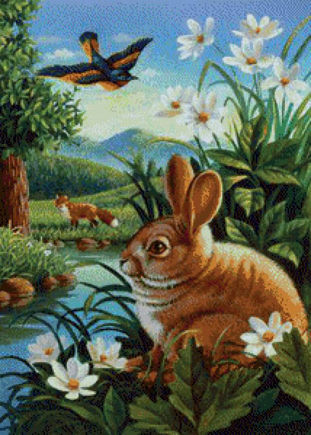 спрятался - животные - предпросмотр