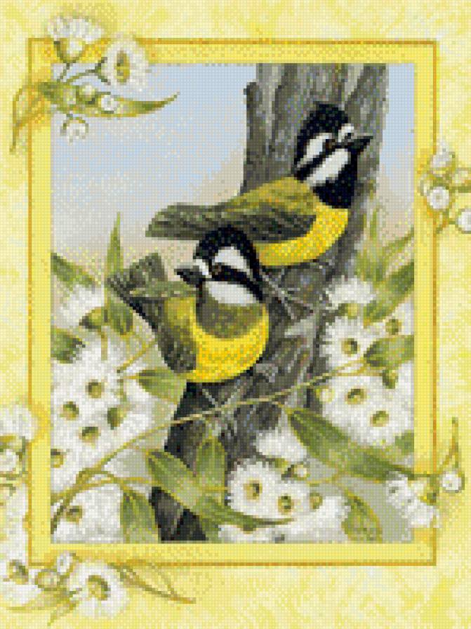 рамочка4 - птицы - предпросмотр