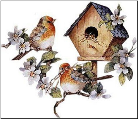 птичкин дом2 - птицы - оригинал