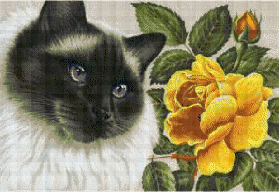 №563085 - предпросмотр