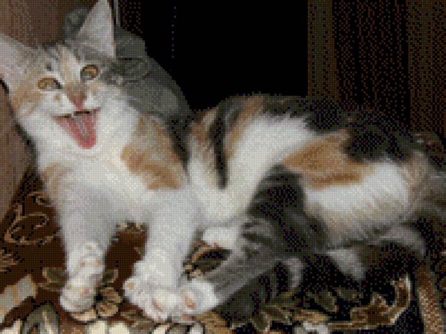 Зеваем - кошка, животные - предпросмотр