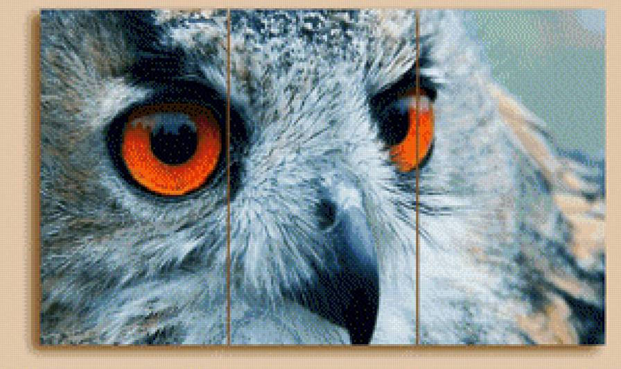 №563115 - сова, филин, триптих, птица - предпросмотр