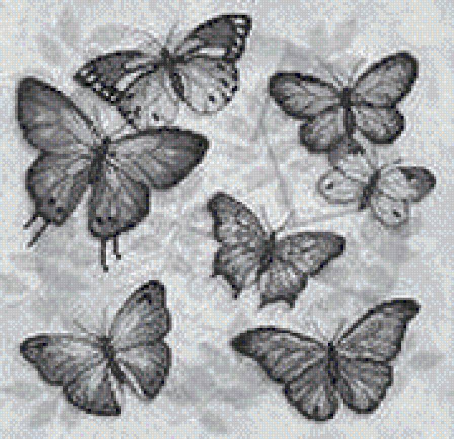 бабочки - предпросмотр