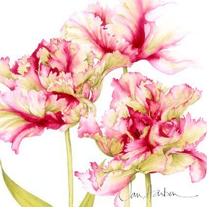 Тюльпаны - красный, цветы, тюльпаны - оригинал