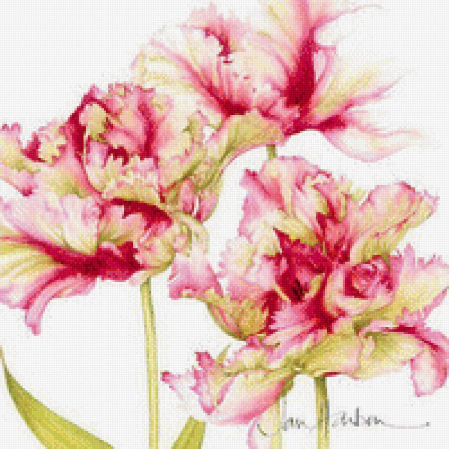 Тюльпаны - тюльпаны, цветы, красный - предпросмотр