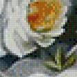 Предпросмотр схемы вышивки «белые розы» (№563244)