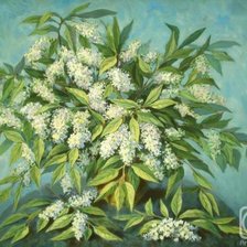 Оригинал схемы вышивки «белая серень» (№563274)