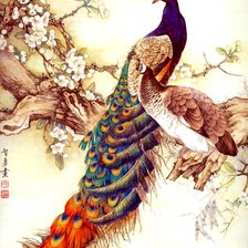 Схема вышивки «Павлин»