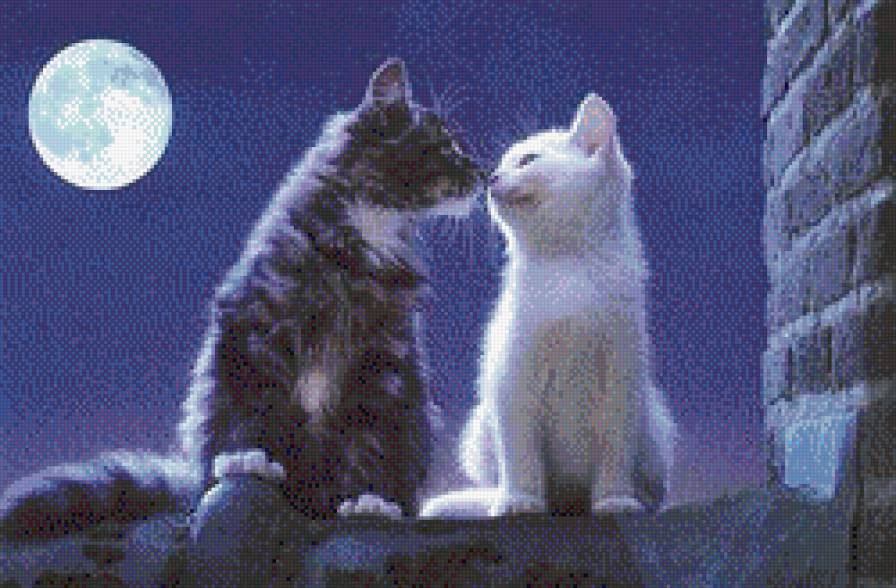 Коты на крыше - луна, кошки, животные - предпросмотр
