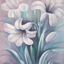 нежные цветы