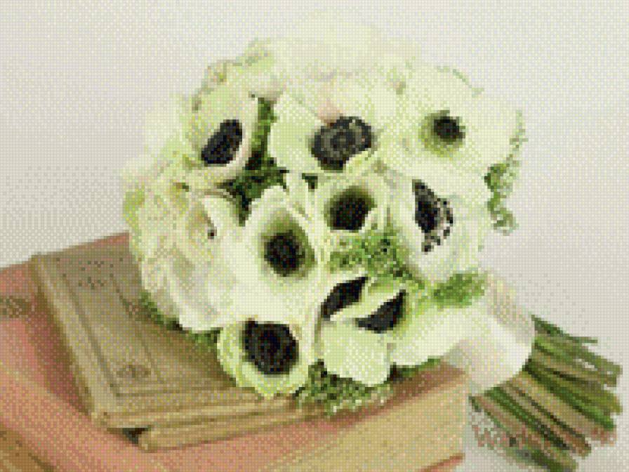 Анемоны - цветы - предпросмотр