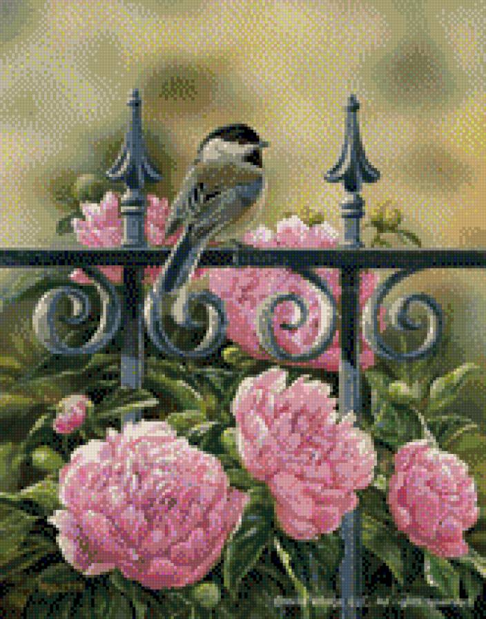 пташка і піони - предпросмотр