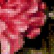 Предпросмотр схемы вышивки «розовые пионы» (№563521)