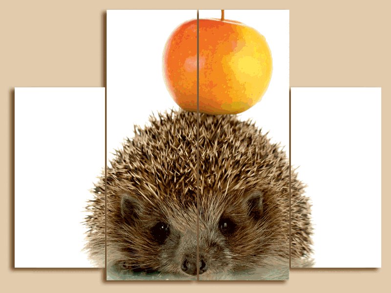 №563623 - яблоко, триптих, ежик - оригинал