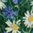 Предпросмотр схемы вышивки «васильки-ромашки2» (№563769)