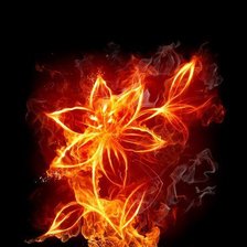Оригинал схемы вышивки «Огненный цветок» (№563809)