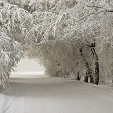 Зимний пейзаж