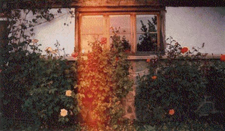 Розы - предпросмотр