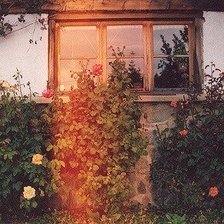 Схема вышивки «Розы»