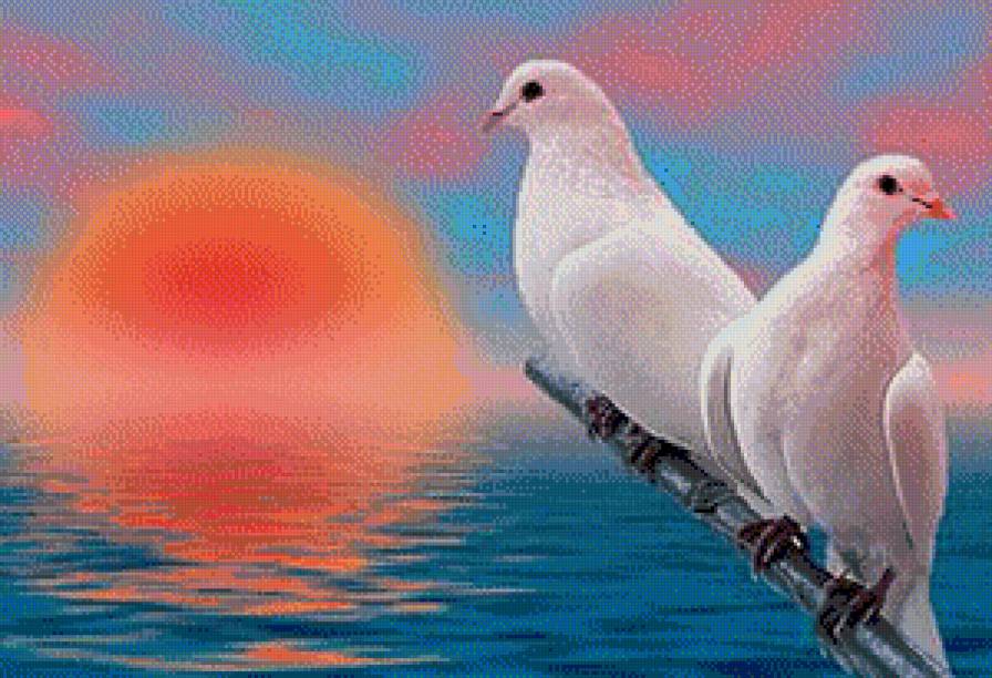 Пара белых голубей - предпросмотр