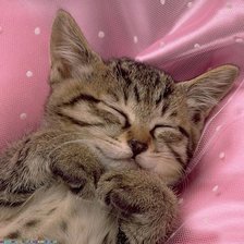 Схема вышивки «котёнок»