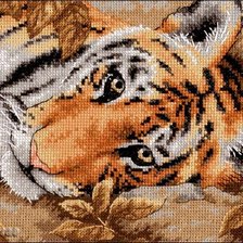 Оригинал схемы вышивки «тигр» (№563907)