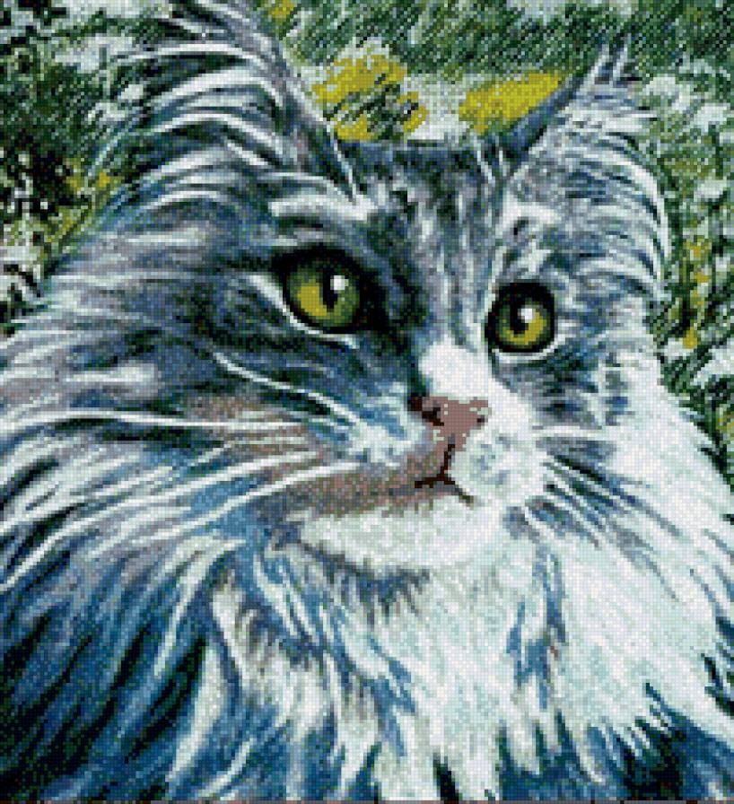 кошечка - серая, кошечка - предпросмотр