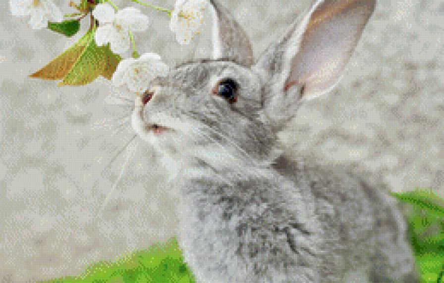 Заичишка - предпросмотр