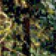 Предпросмотр схемы вышивки «михаил сатаров 28 лесной пейзаж» (№564297)