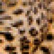 Предпросмотр схемы вышивки «Леопард» (№564507)