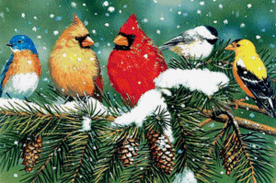 на заснеженной ветке - ель, снег, серия птицы, ветка, птички, зима - предпросмотр