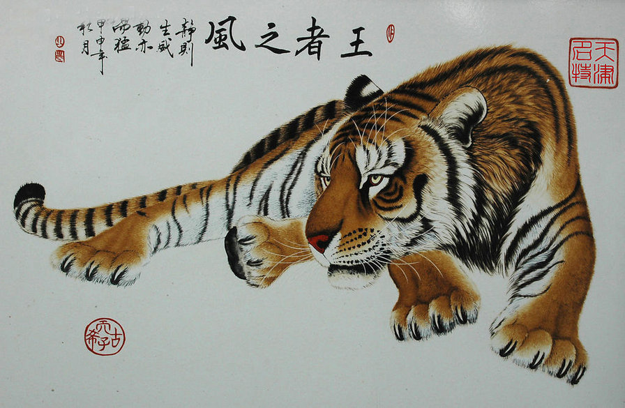 Китайский тигр - азия, тигры, животные, восток - оригинал