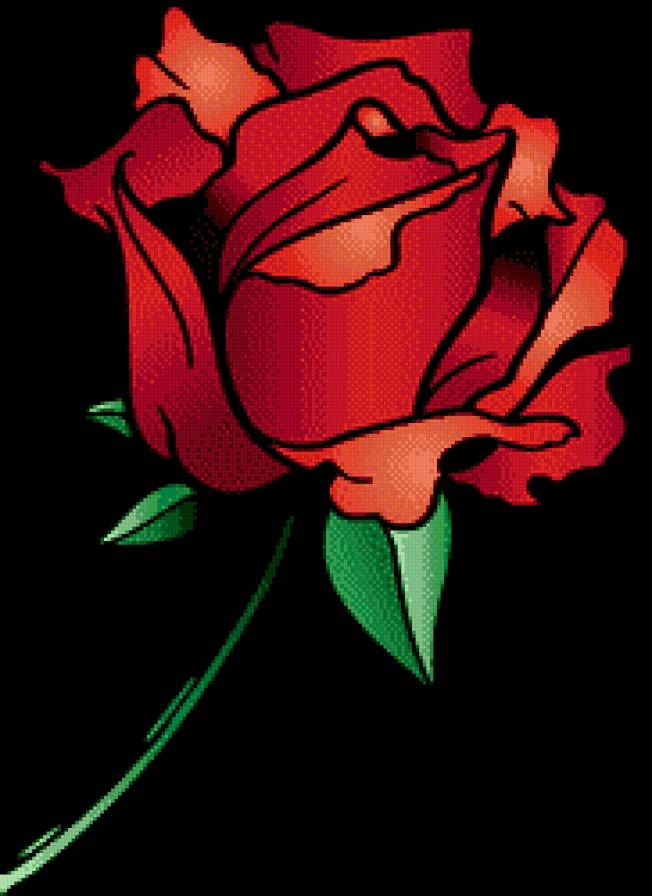 Роза на черном - цветы, роза - предпросмотр