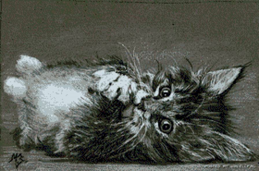 котенок Мария Зельдис - предпросмотр