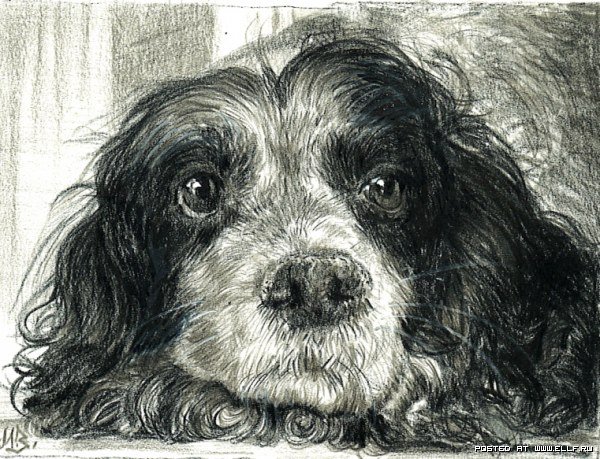 друг Мария Зельдис - оригинал