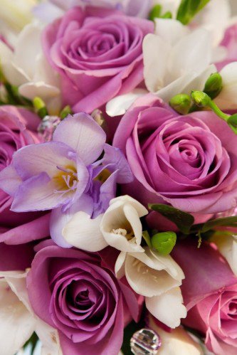 №564860 - цветы - оригинал