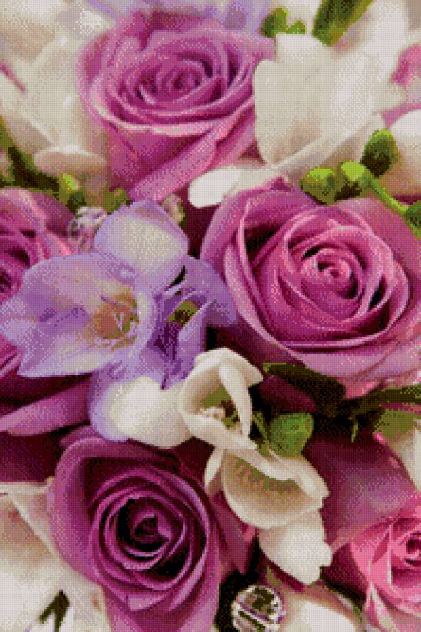 №564860 - цветы - предпросмотр