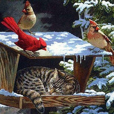 Схема вышивки «место занято»