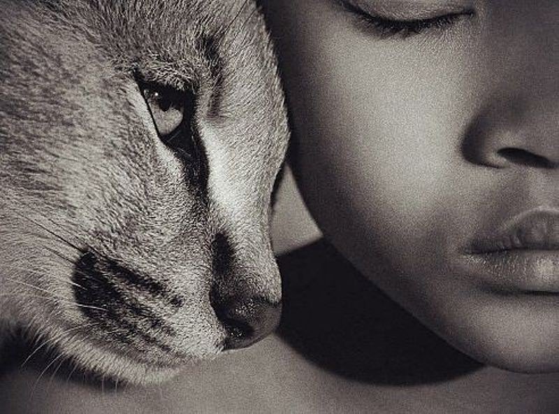 нас двое монохром - мальчик, кот, дети, животные, монохром, чорнобелое - оригинал