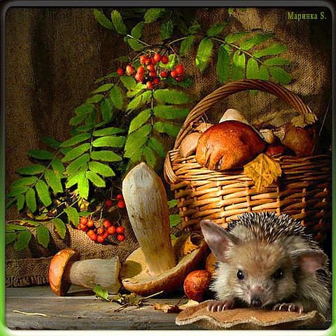натюрморт с корзинкой - еж, грибы, осень, листья, корзинка, натюрморт, ежик - оригинал