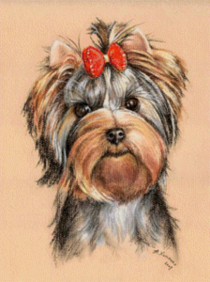 Sobačka - sobaki, životnije - предпросмотр