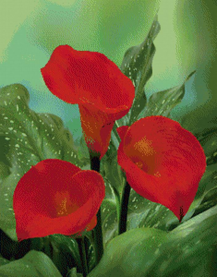 цветок - предпросмотр