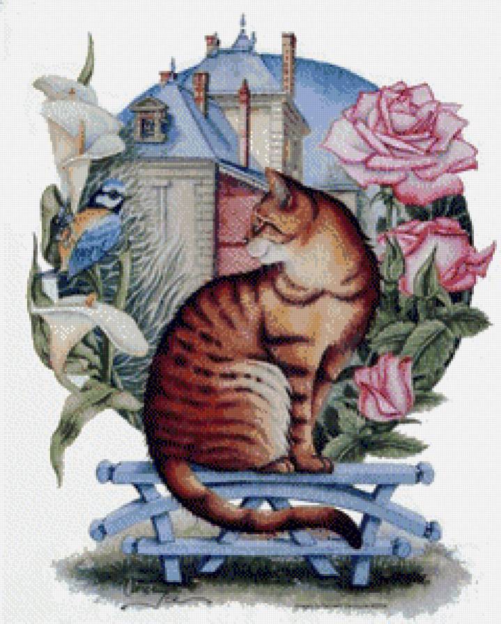 мурчик - котики - предпросмотр