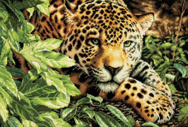 леопард - хищник., джунгли, тигр, леопард - оригинал