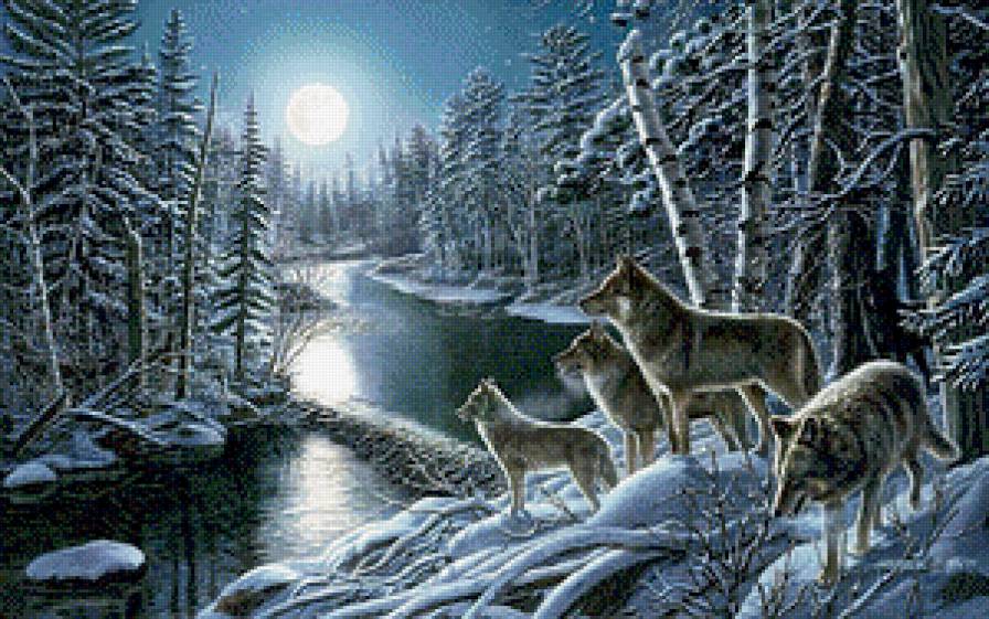 Волки - предпросмотр