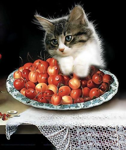 Котенок с черешней - кот, фрукты, ягоды, животные, натюрморт - оригинал