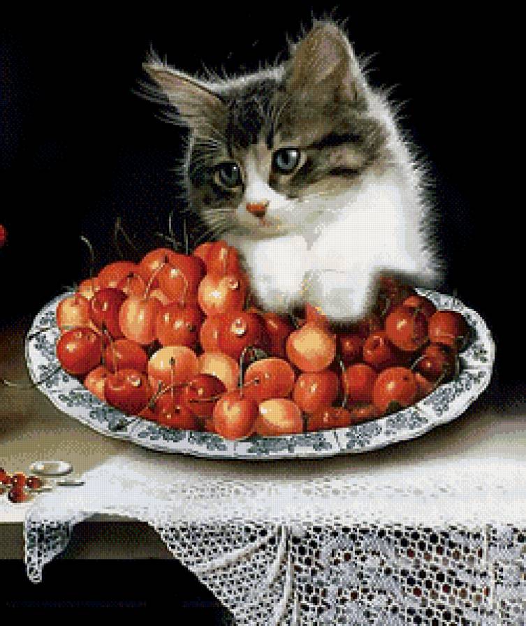 Котенок с черешней - фрукты, ягоды, натюрморт, животные, кот - предпросмотр
