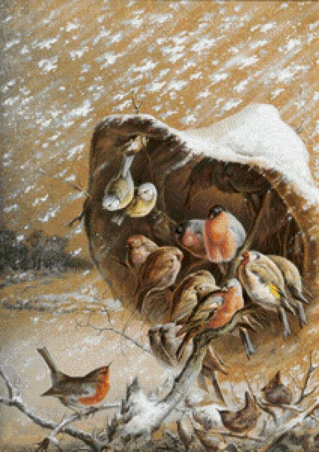 плохая погода - картина птицы - предпросмотр