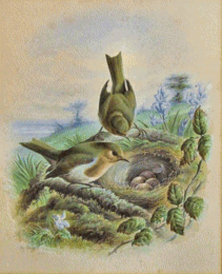 заботливые птички - картина птицы - предпросмотр